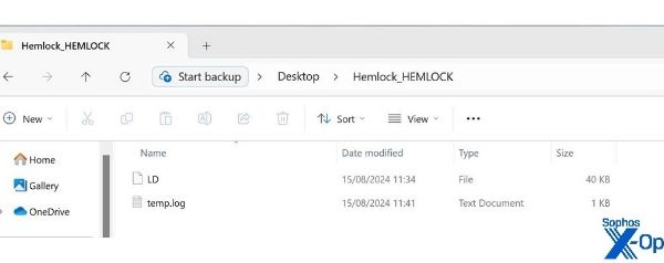 A file directory showing the LD and temp.log files from the Qilin infection, as described in text